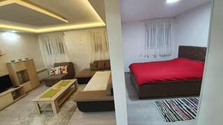 Апартаменты Apartman studio Jovan Жабляк Апартаменты-18