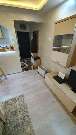 Апартаменты Apartman studio Jovan Жабляк Апартаменты-7