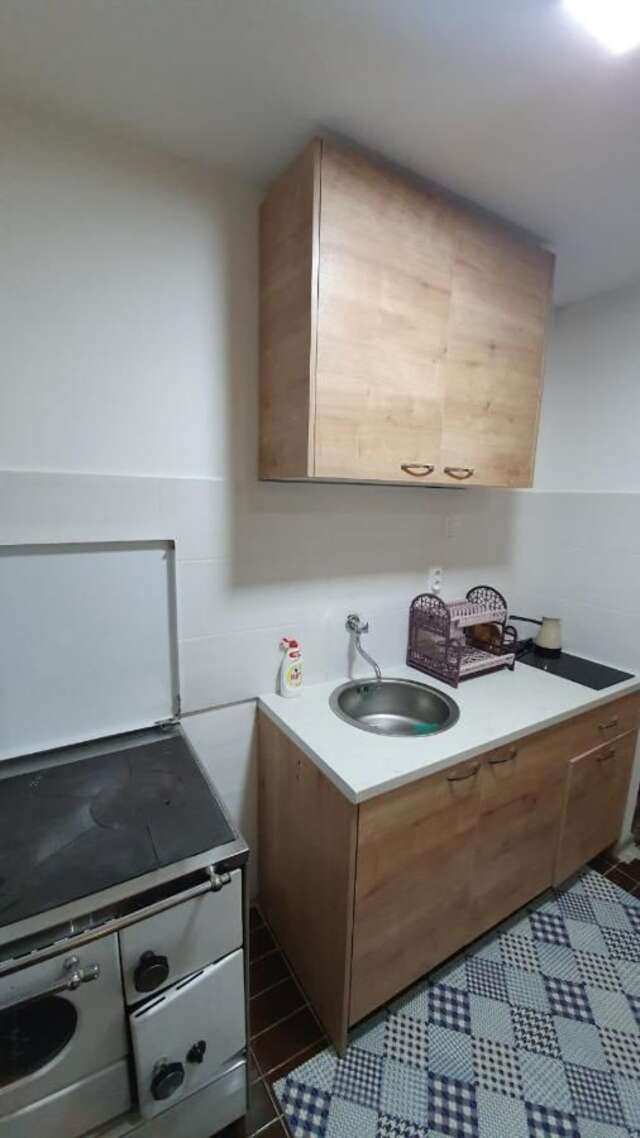 Апартаменты Apartman studio Jovan Жабляк-4